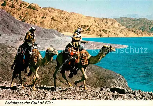 AK / Ansichtskarte Kamele Beduins Gulf of Eilat  Kat. Tiere