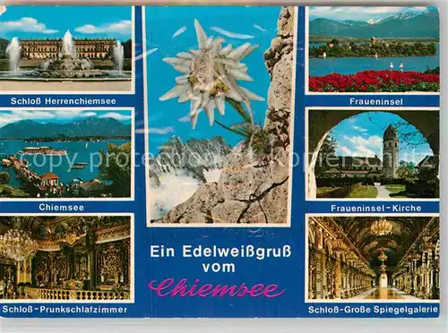 AK / Ansichtskarte Edelweiss Chiemsee Fraueninsel Schloss Herrenchiemsee  Kat. Pflanzen