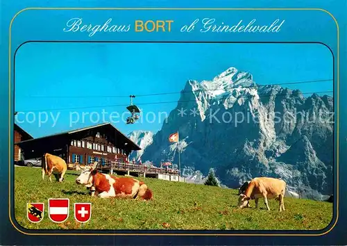 AK / Ansichtskarte Grindelwald Berghaus Bort Kat. Grindelwald