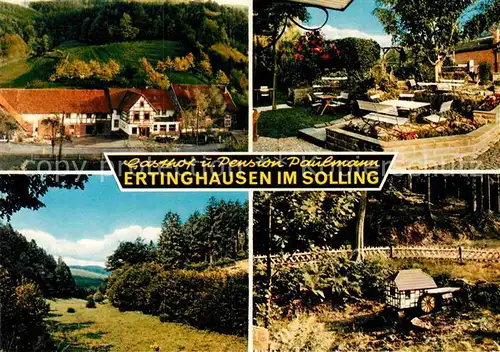 AK / Ansichtskarte Ertinghausen Gasthof Pension Paulmann im Solling Kat. Hardegsen