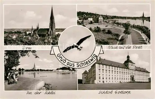 AK / Ansichtskarte Schleswig Schlei Dom Schloss Gottorn  Kat. Erfde