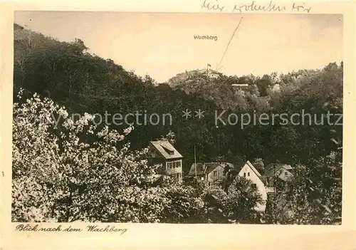 AK / Ansichtskarte Saupsdorf Blick nach dem Wachberg Berggasthof Kat. Kirnitzschtal
