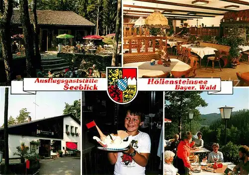 AK / Ansichtskarte Hoellensteinsee Gaststaette Seeblick Terrasse Kat. Viechtach