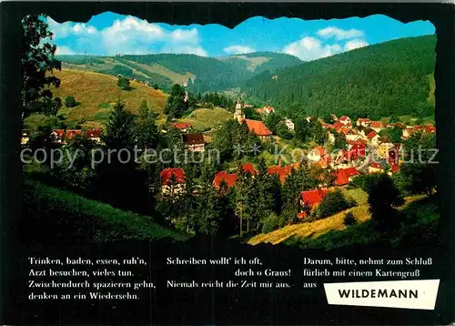 AK / Ansichtskarte Wildemann Panorama Klein Tirol im Oberharz Bergstadt Kat. Wildemann Harz