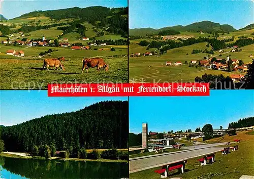 AK / Ansichtskarte Maierhoefen Allgaeu Landschaftspanorama Viehweide Kuehe See Kat. Maierhoefen