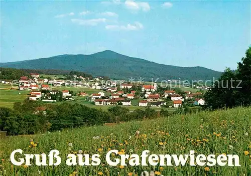 AK / Ansichtskarte Grafenwiesen Panorama Erholungsort Blumenwiese Kat. Grafenwiesen