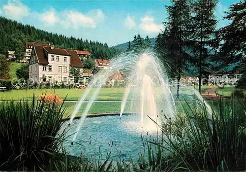 AK / Ansichtskarte Wildemann Klein Tirol im Oberharz Springbrunnen Kat. Wildemann Harz