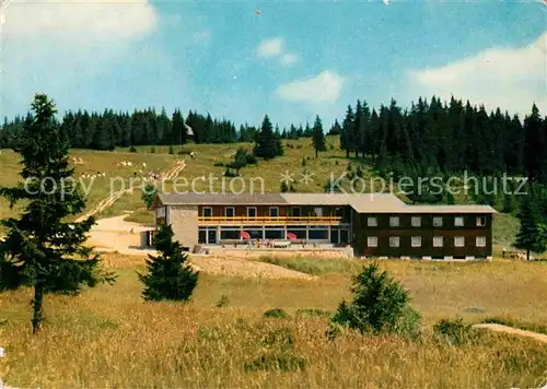 AK / Ansichtskarte Feldberg Schwarzwald Berghotel Herzogenhorn Kat. Feldberg (Schwarzwald)