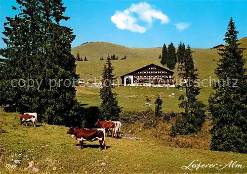 AK / Ansichtskarte Lofer Haus Gertraud in der Sonne Loferer Alm Kat. Lofer