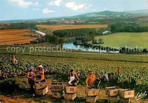 AK / Ansichtskarte Champagne Haute Saone Weinernte Kat. Champagney