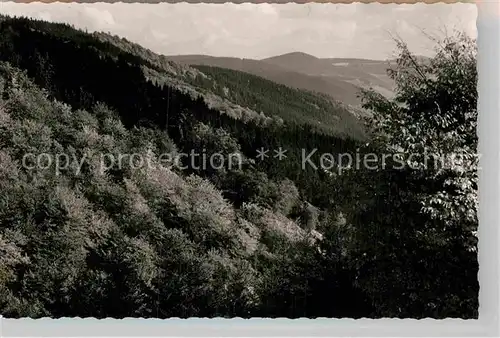 AK / Ansichtskarte Berleburg Bad Meckhausertal Kat. Bad Berleburg