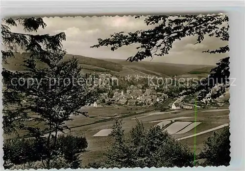 AK / Ansichtskarte Berleburg Bad Panorama Kat. Bad Berleburg