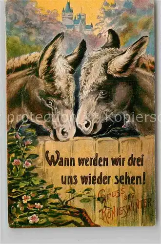AK / Ansichtskarte Koenigswinter Grusskarte Esel Schloss Kat. Koenigswinter