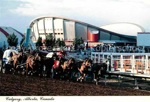 AK / Ansichtskarte Calgary Pferdekutschenrennen Kat. Calgary