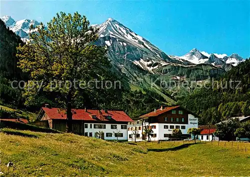 AK / Ansichtskarte Birgsau Steinschartenkopf Wilder Mann Rothgrundspitze Hochrappenkopf Kat. Oberstdorf