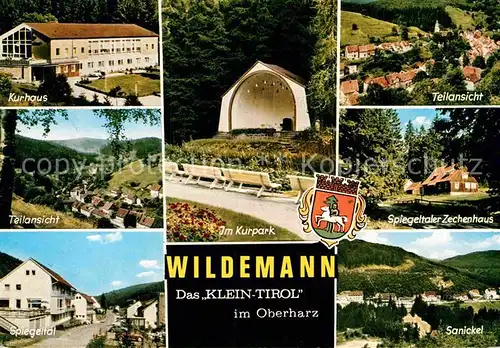 AK / Ansichtskarte Wildemann Kurhaus Kurpark Musikpavillon Spiegeltal Zechenhaus Sanickel Kat. Wildemann Harz