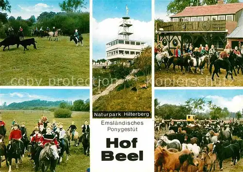 AK / Ansichtskarte Lathen Hof Beel Emslaendisches Ponygestuet Reitzentrum Naturpark Hilterberg Kat. Lathen