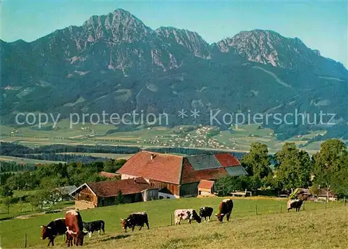 AK / Ansichtskarte Strobl Strobl Alm am Hoegel Kat. Strobl