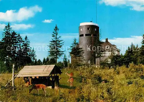 AK / Ansichtskarte Astenturm Hochsauerland Wild und Turm Kat. Winterberg
