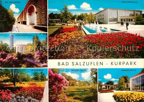 AK / Ansichtskarte Bad Salzuflen Saline Leopoldsprudel Kurpark Wandelhalle Konzerthalle Wasserspiele Kat. Bad Salzuflen