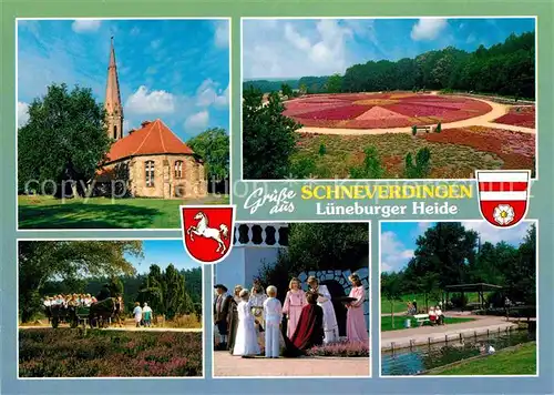AK / Ansichtskarte Schneverdingen Kirche Heidelandschaft Pferdekutschfahrt Park Kat. Schneverdingen