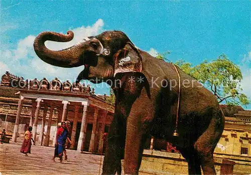 AK / Ansichtskarte Trichy Srirangam Temple