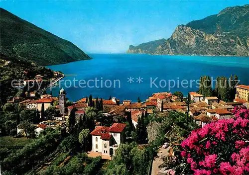 AK / Ansichtskarte Torbole Lago di Garda Panorama Kat. Italien