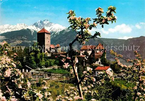 AK / Ansichtskarte Meran Merano Schloss Tirol