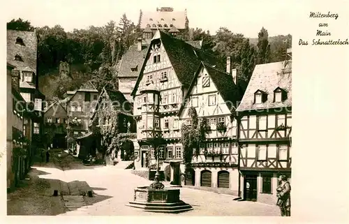 AK / Ansichtskarte Miltenberg Main Schnatterloch  Kat. Miltenberg