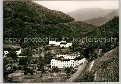 AK / Ansichtskarte Alf Mosel Alf Fabrik Jaegerhof Kat. Alf