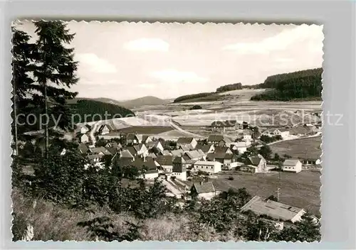 AK / Ansichtskarte Berleburg Bad Panorama Kat. Bad Berleburg