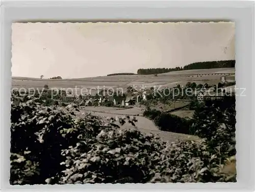 AK / Ansichtskarte Sassenhausen Panorama Kat. Bad Berleburg