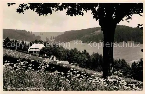 AK / Ansichtskarte Todtnauberg  Kat. Todtnau