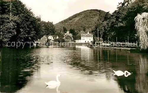 AK / Ansichtskarte Bad Bergzabern Schwanenweiher Erholungsheim Pfaelzer Wald  Kat. Bad Bergzabern