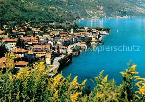 AK / Ansichtskarte Cannobio Lago Maggiore Panorama Kat. Italien