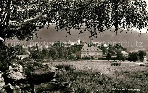 AK / Ansichtskarte Bodenmais Panorama Kat. Bodenmais