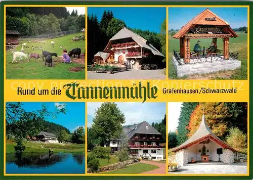 AK / Ansichtskarte Grafenhausen Schwarzwald Schwarzwaldgasthof Tannenmuehle Kat. Grafenhausen
