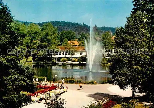 AK / Ansichtskarte Braunlage Kurpark Fontaene Kat. Braunlage Harz