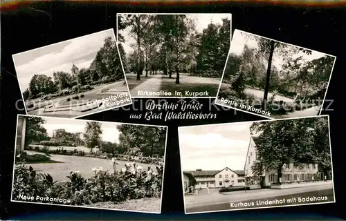 AK / Ansichtskarte Bad Waldliesborn Kurhaus Lindenhof Badehaus Kleingolfplatz Birkenallee  Kat. Lippstadt