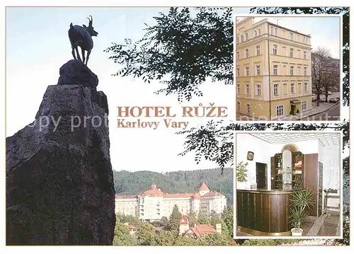AK / Ansichtskarte Karlovy Vary Hotel Ruze Kat. Karlovy Vary Karlsbad