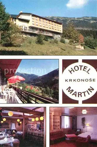 AK / Ansichtskarte Krkonose Hotel Martin Kat. Polen
