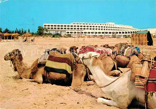 AK / Ansichtskarte Hammamet Hotel Phenicia Kat. Tunesien