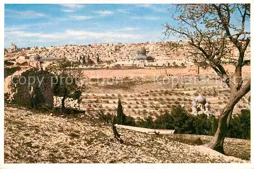 AK / Ansichtskarte Jerusalem Yerushalayim oelberg Kat. Israel