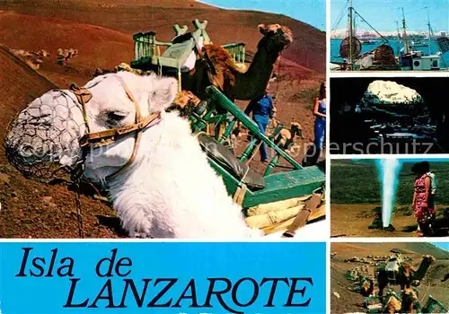 AK / Ansichtskarte Lanzarote Kanarische Inseln Kamele Hafenpartie Grotte