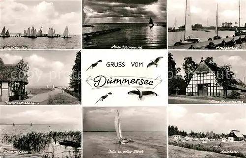 AK / Ansichtskarte Duemmersee Diepholz Segelregatta Zeltplatz Altes Bauernhaus Niedersachsenhaus 