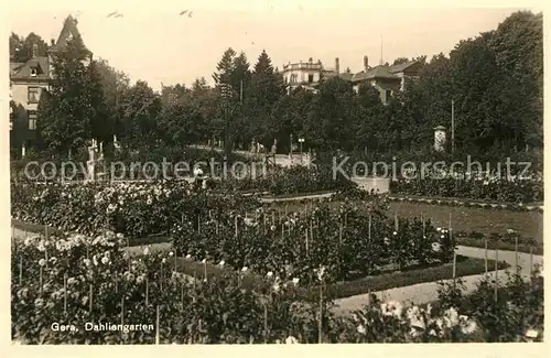 AK / Ansichtskarte Gera Dahliengarten  Kat. Gera