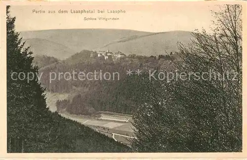 AK / Ansichtskarte Laasphe Bad Schloss Wittgenstein Laasphetal Kat. Bad Laasphe