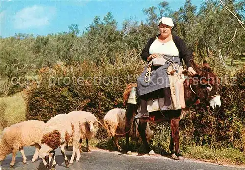 AK / Ansichtskarte Corfu Korfu Schafe Eselreiterin Kat. Griechenland