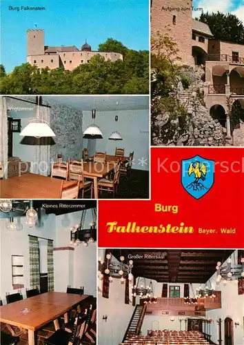 AK / Ansichtskarte Falkenstein Oberpfalz Burg Kleines Ritterzimmer Vogtzimmer Aufgang zum Turm Kat. Falkenstein