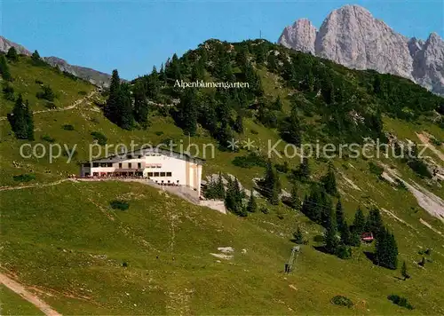 AK / Ansichtskarte Reutte Tirol Reuttener Bergbahn Bergrestaurant Hahnenkamm mit Gehrenspitze Kat. Reutte